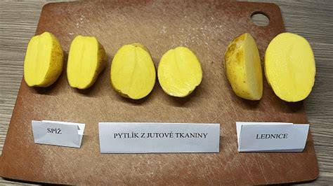 různé druhy bramborových placek