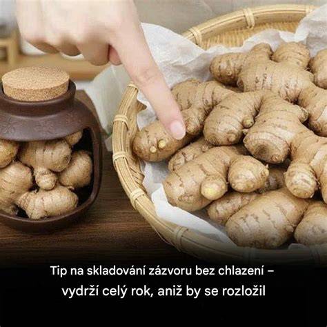 Čerstvý zázvor a šálek čaje