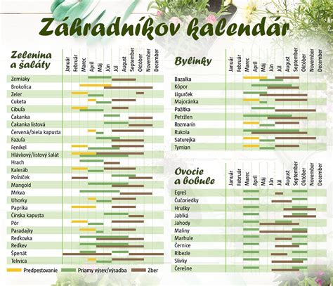 Kalendář výsevu a výsadby hlávkového salátu