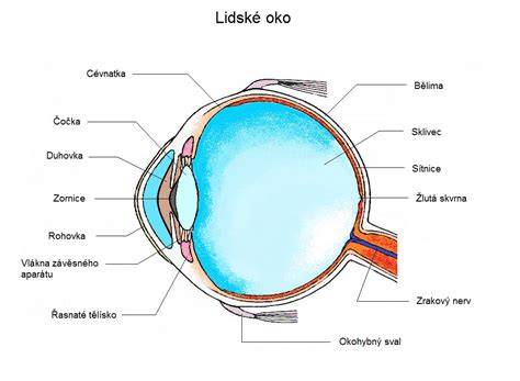 Fakická čočka v oku před přirozenou čočkou