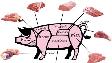 anatomie vepřové půlky a umístění kýty