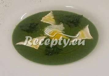 Polévka z medvědího česneku kopřiv