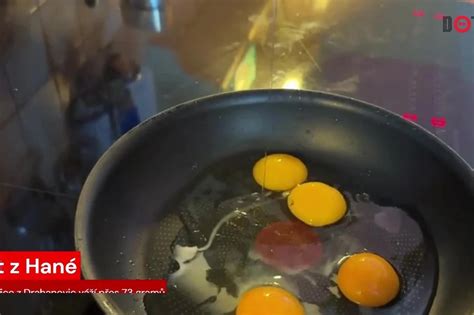 Obří fosilní vejce z Antarktidy