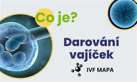Darování vajíček během IVF