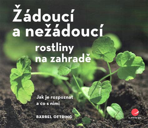 schéma žádoucí a nežádoucí fermentace